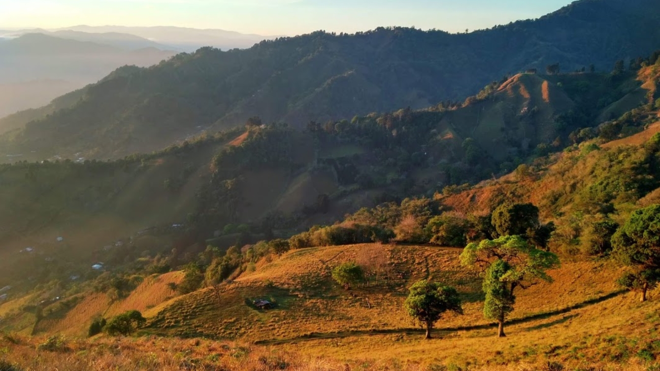 Jueves Notas para UNA Nomar Oporte